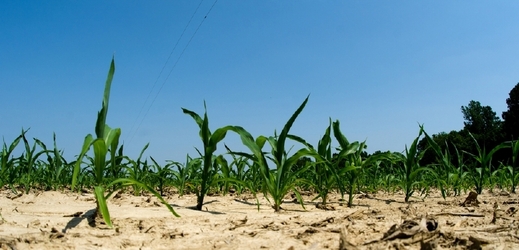 Nedostatek deště může způsobit problémy v zemědělství (ilustrační foto).