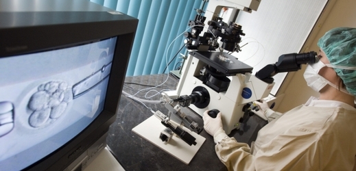 Díky dynamickému laseru lze diagnostikovat genetické onemocnění u embrya (ilustrační foto).