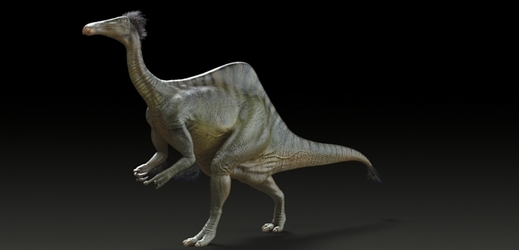 Vědci popsali celého dinosaura, z nějž zatím znali jen přední tlapy.