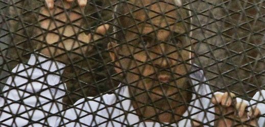 Peter Greste sedí za mříží na lavici obžalovaných v procesu (na snímku 5. března 2014).